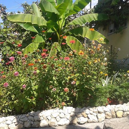 Guesthouse On Kabardinskaya 139A Gagra Ngoại thất bức ảnh