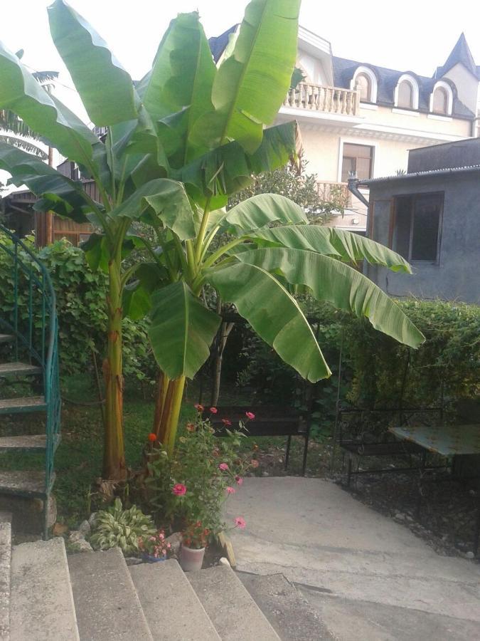 Guesthouse On Kabardinskaya 139A Gagra Ngoại thất bức ảnh