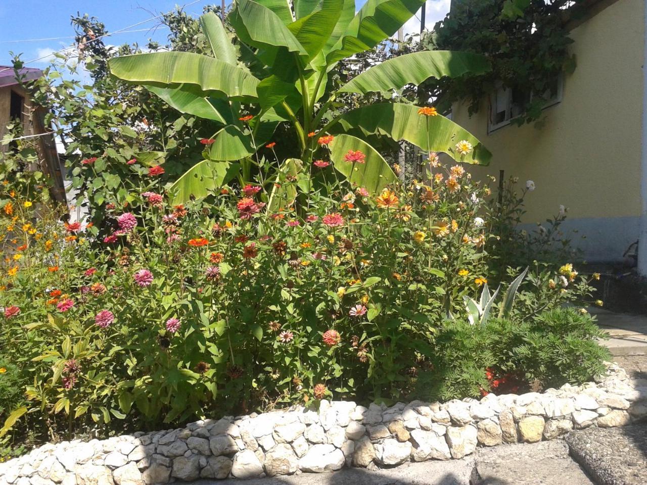 Guesthouse On Kabardinskaya 139A Gagra Ngoại thất bức ảnh
